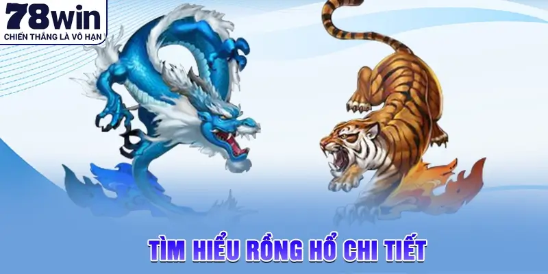 Tìm hiểu rồng hổ chi tiết