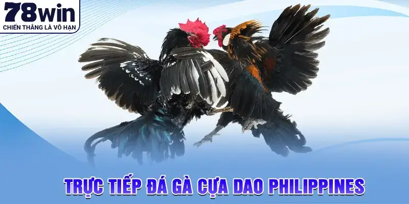 trực tiếp đá gà cựa dao philippines